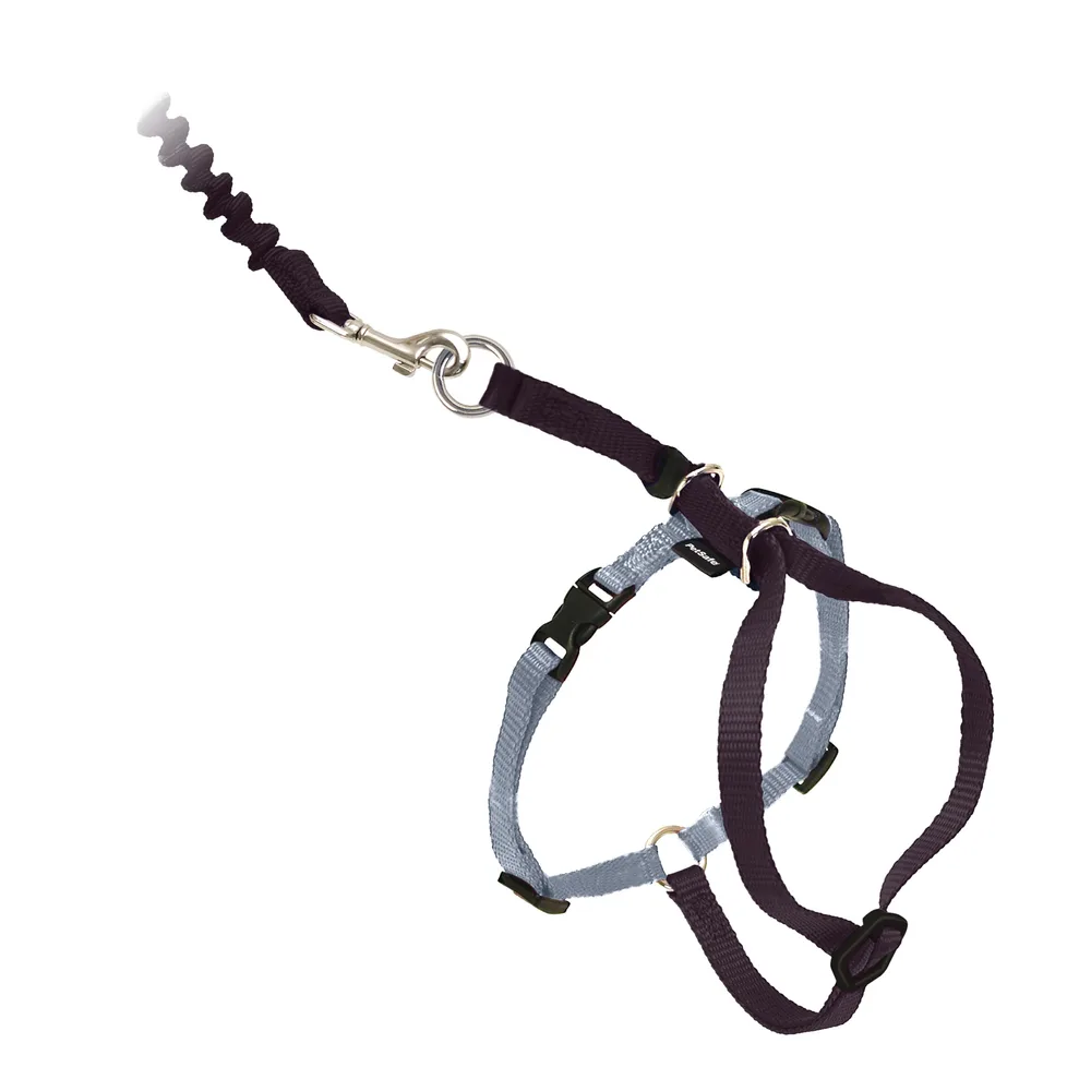 PetSafe PetSafe Come With Me Kitty Harness and Bungee Leash, Harness for Cats, Large, Black/Silver, CWMK-L-BLK