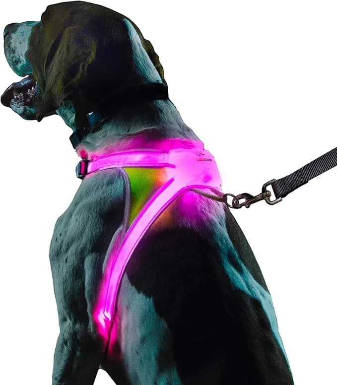 noxgear noxgear LightHound Light Up Reflective Dog Harness, Medium | 360° Light Up Reflective Dog Harness, 8 Colors & 6 Modes, USB Rechargeable, Adjustable, Rainproof, LED Fiber Optic