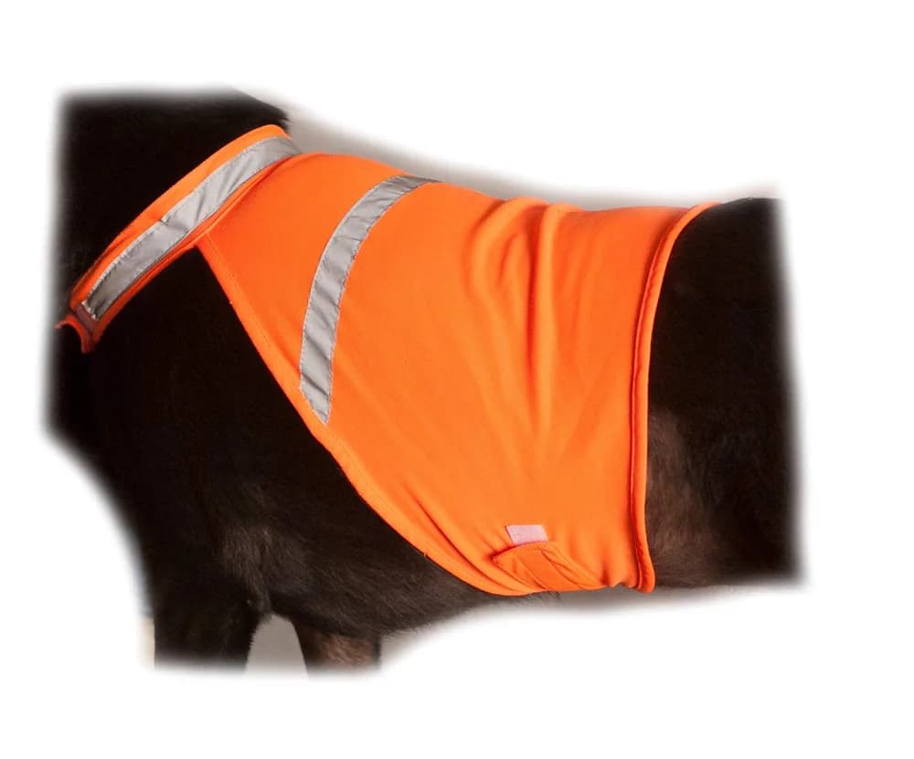 2PET 2PET Dog Hunting Vest and Safety Reflective Vest - Used for High Visibility - Protects Pets from Cars & Hunting Accidents in Both Urban and Rural Environments - Large Radiant Orange