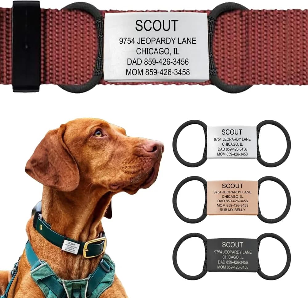 ROAD iD ROAD iD Personalized Silent Dog Tag for Collars, Stainless Steel Slide-On Plate with Laser Engraving