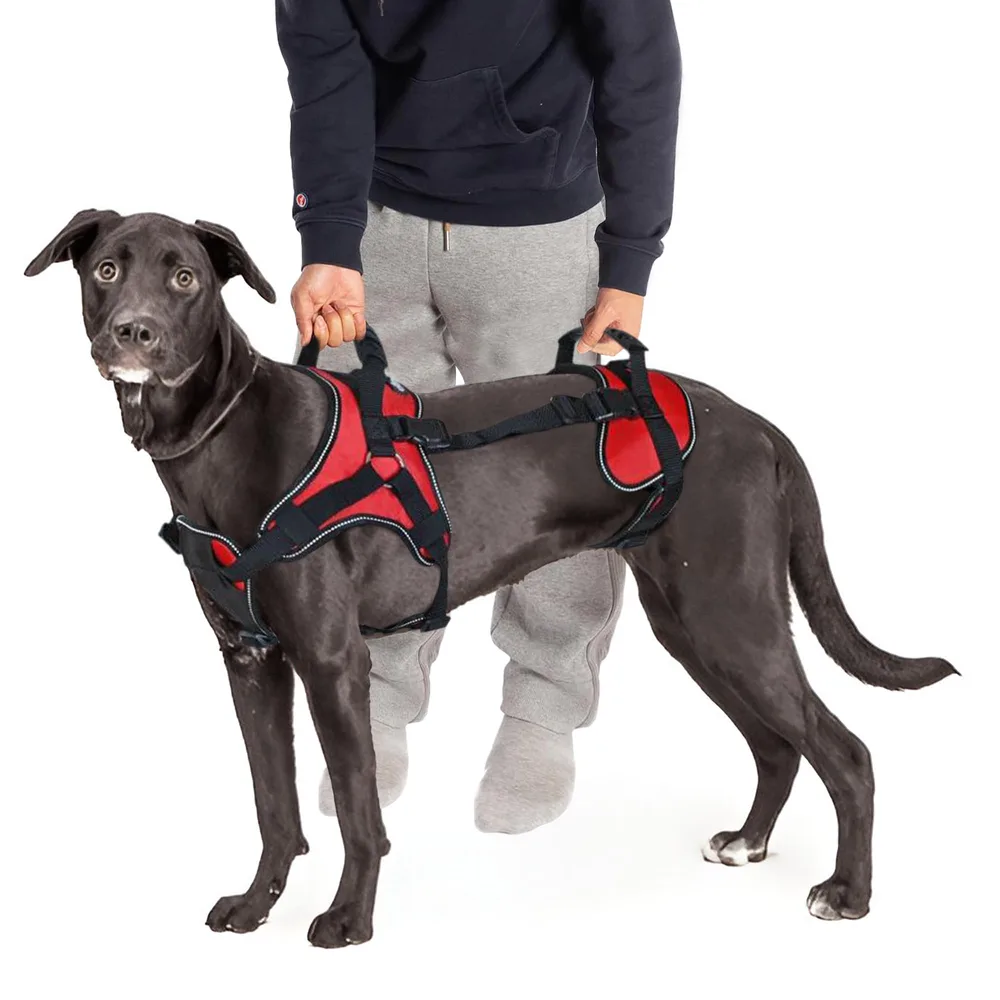 Doggie Stylz Doggie Stylz Multi-Functional Full-Body Lifting Dog Harness Vest | Designed for Front-Only, Rear-Only, Please Measure Your Dog Before Ordering
