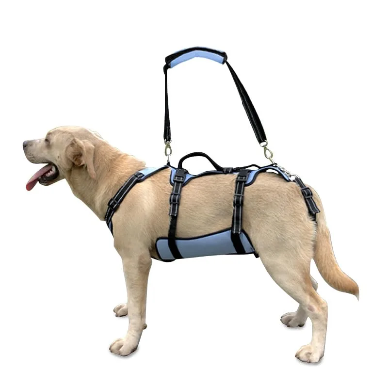 Coodeo Coodeo Dog Lift Harness, Full Body Support & Recovery Sling, Pet Rehabilitation Lifts Vest for Old Dog with Arthritis Walk(Bule,L)