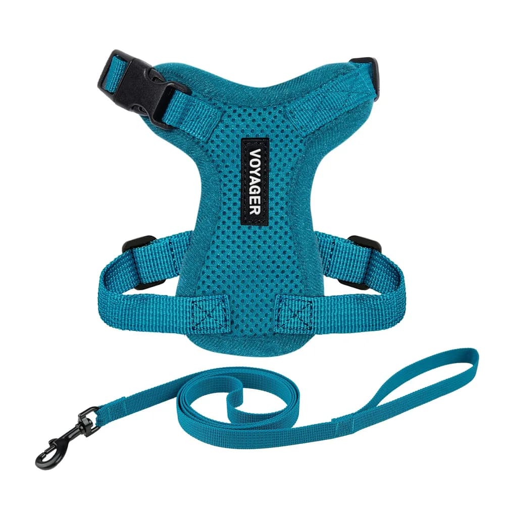 Best Pet Supplies Voyager Escape-Proof Step-in Lock Cat Harness & 5ft Neoprene-Handle Leash Set All-Weather Mesh with Reflective Stitching for Small to Large Cats by Best Pet Supplies, Turquoise, XXS