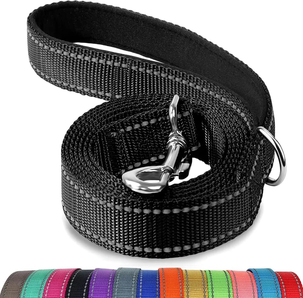 Joytale Joytale Reflective Nylon Dog Leash with Padded Handle