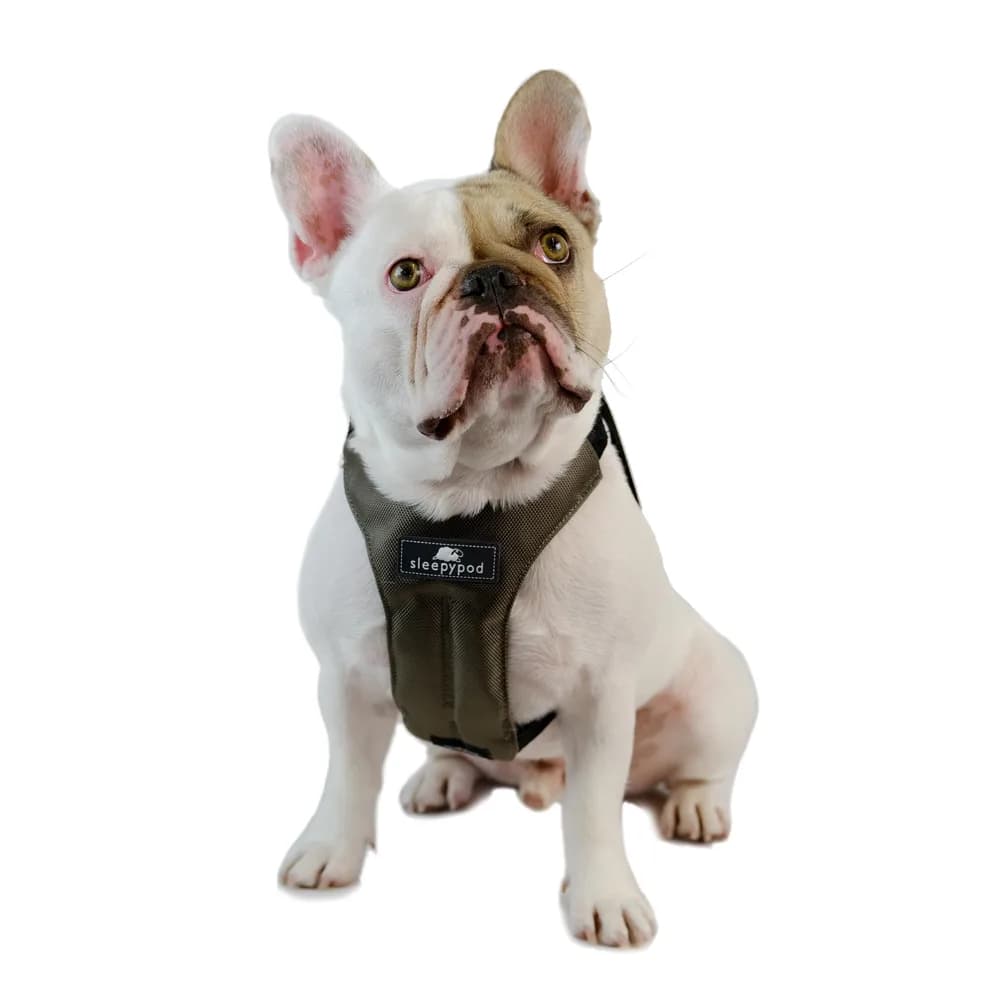 Sleepypod Clickit Sport Plus - Crash-Tested and Safety Certified Car Seat Belt Harness for Dogs (Large, Olive Green)