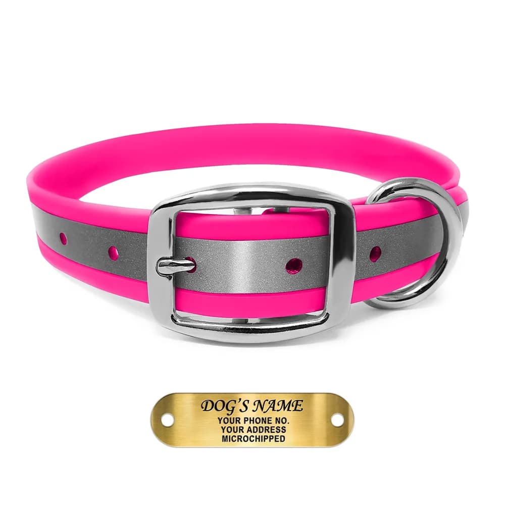 Regal Dog Products Regal Dog Products Reflective Dog Collar with Custom Engraved Name Plate | Waterproof Biothane Personalized Dog Collars with D Ring & Double Buckle - Other Sizes for Small, Medium & Large Dogs