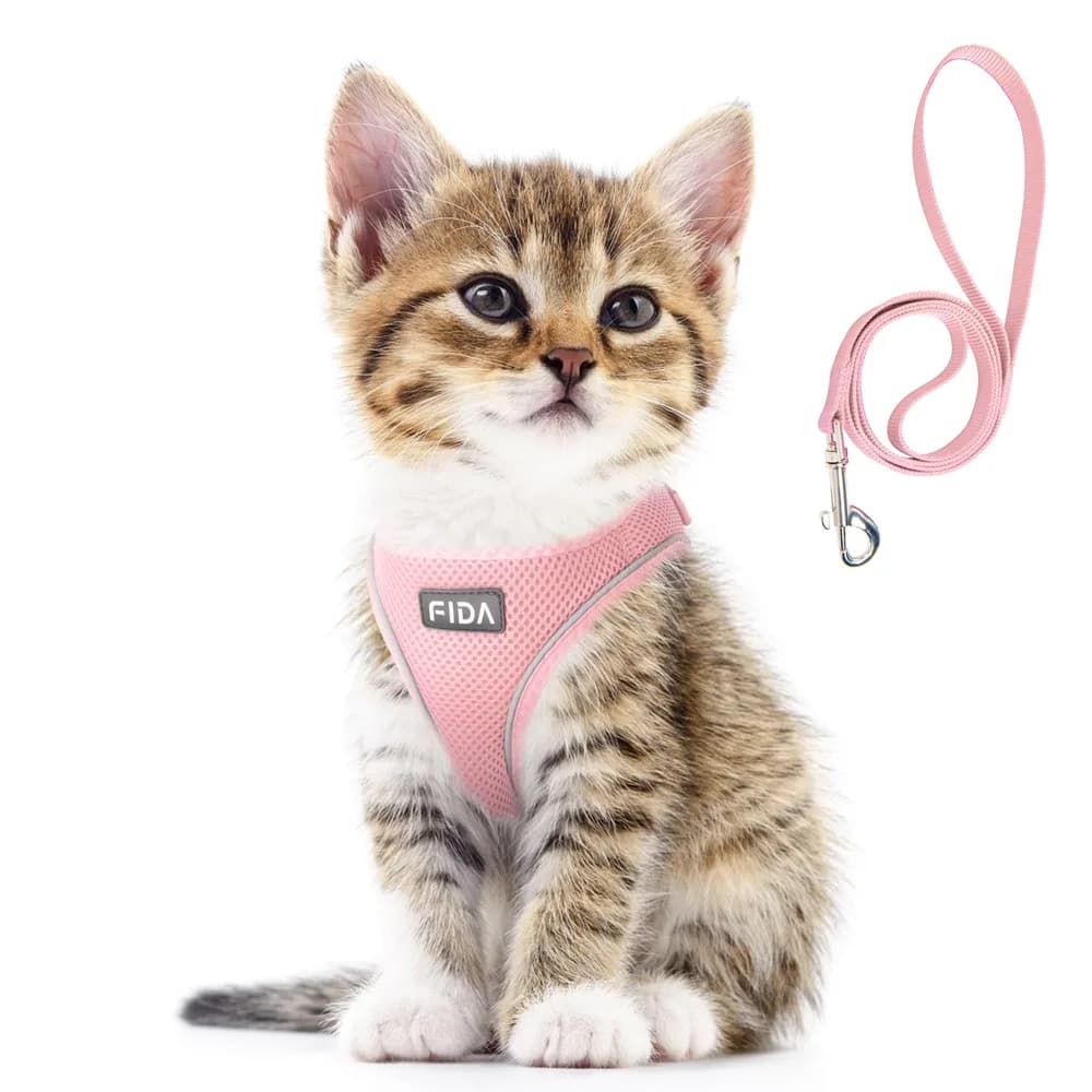Fida Fida Cat Harness and Leash Set for Walking Kitten and Puppy, Escape Proof Kitten Harness with Breathable Lightweight Soft Mesh, Adjustable Reflective Step-in Design. (XXXS, Pink)