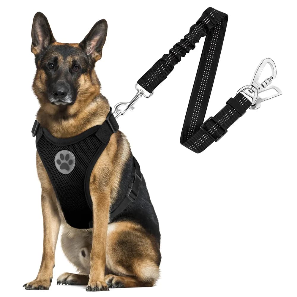 SlowTon SlowTon Dog Seat Belt Harness for Car, Dog Car Harness Adjustable Mesh Breathable & Dog Seatbelt Safety Tether with Elastic Bungee for Small Medium Large Pets(Black, Double Clip, L)