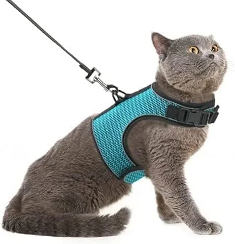 PUPTECK PUPTECK Soft Mesh Cat Vest Harness and Leash Set Puppy Padded Pet Harnesses Escape Proof for Cats Small Dogs (X-Large, Lake Blue)