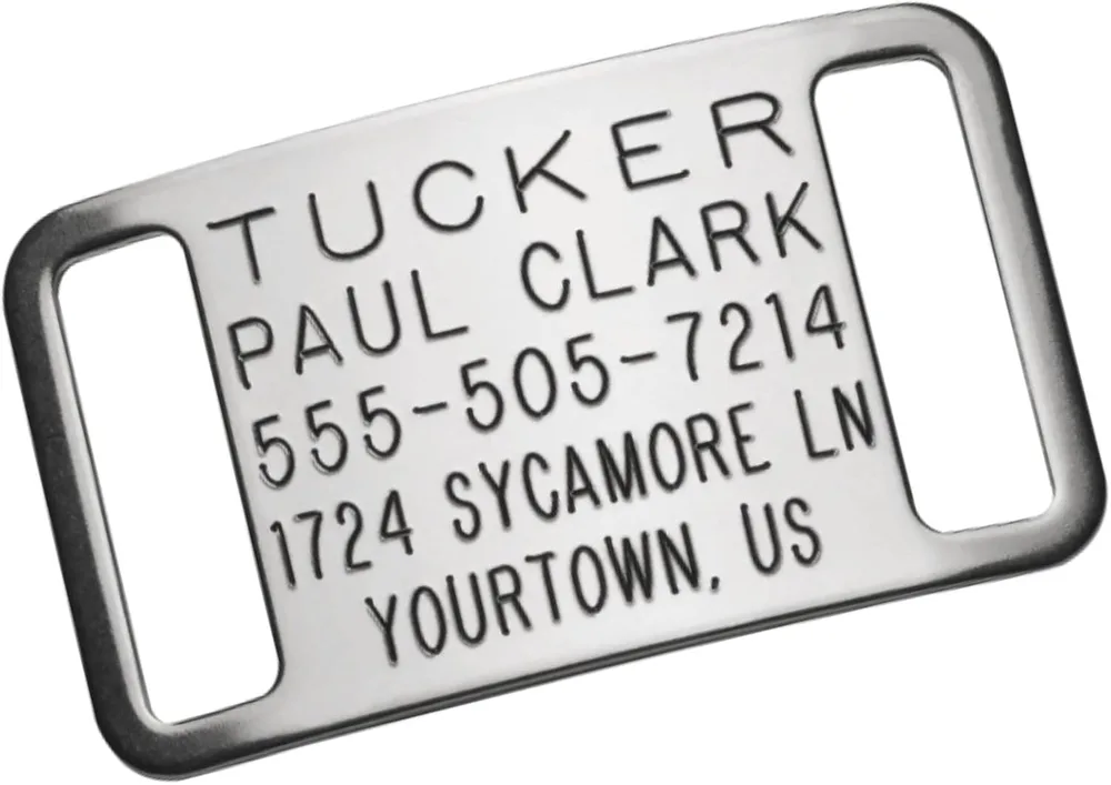 COLLARTAGS Boomerang Tags Slide-On Engraved Dog ID Tag, Personalized Silent Stainless Steel Collar Tag