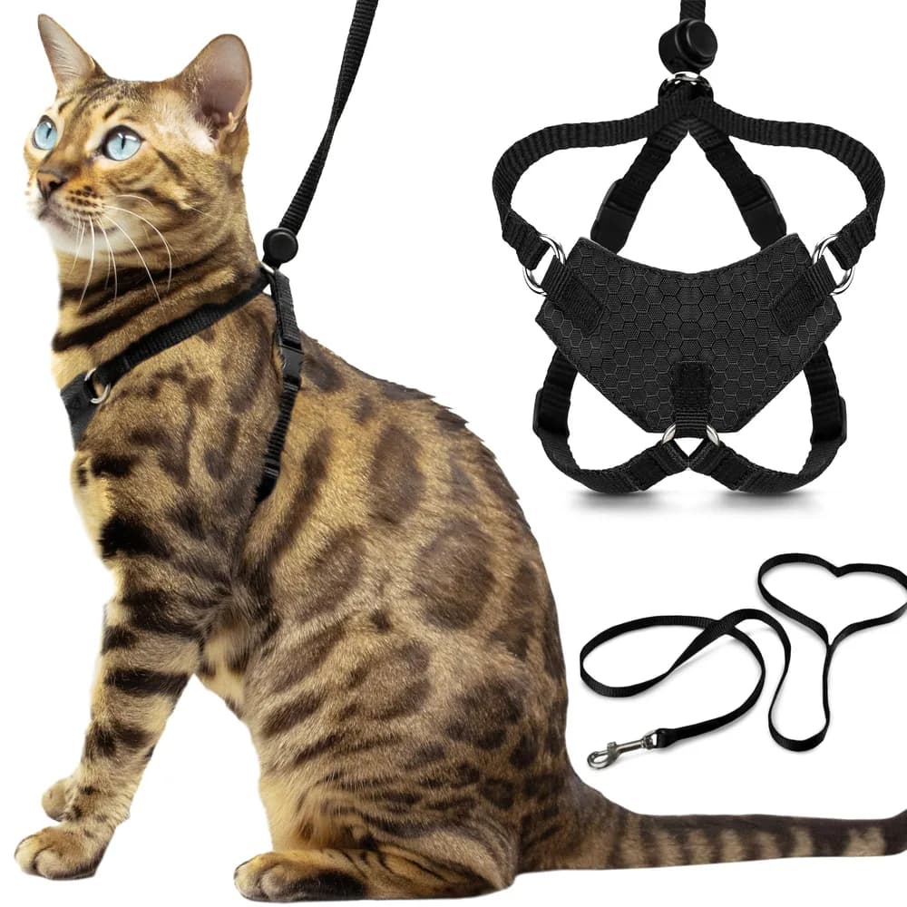 OutdoorBengal Houdini™ Escape Proof Cat Harness and Leash Set by OutdoorBengal – Black, Medium Cat Harness for Walking
