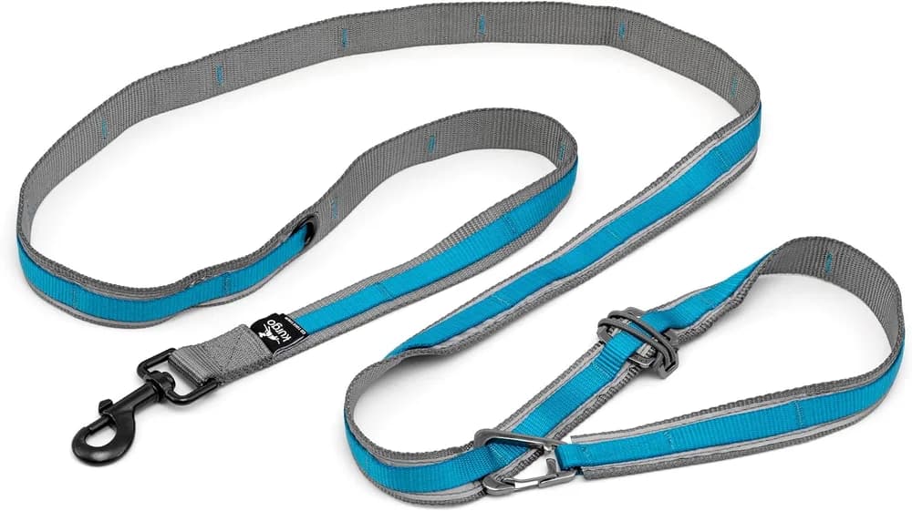 Kurgo Kurgo Quantum 6-in-1 Reflective Dog Leash