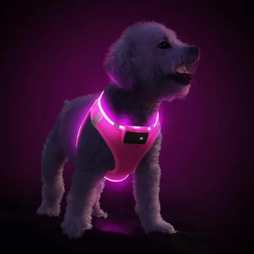 PcEoTllar PceoTllar Light Up Dog Harness, LED No Pull Reflective Dog Harness, Flashing Lighted for Night Walking - Small/Medium, (Pink,S)