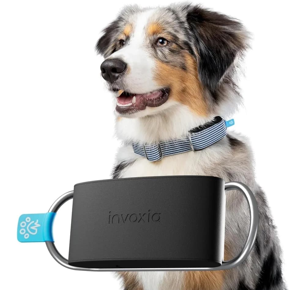 invoxia invoxia Minitailz - Health & GPS Tracker for Dogs #1 - Cardiac and Respiratory Scan - Real-time Location - Activity and Well-Being Analysis - Compact, Lightweight, and Easy to Install