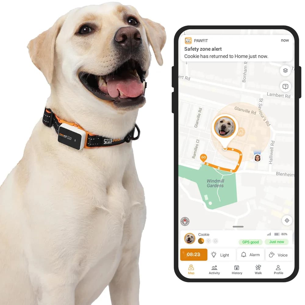 Pawfit Pawfit 3 GPS Pet Tracker GPS Dog Tracker 4G Live Tracking, Smart Alerts, Fully Waterproof Activity Monitor for Pets, Unlimited Range, Remote Voice Recall, Fits All Collars, 30 Day Free Subscription