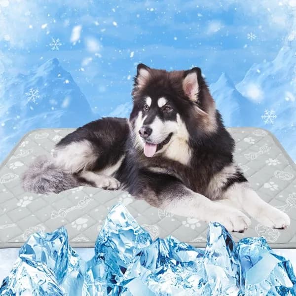 MH MYLUNE HOME MH MYLUNE HOME Self Cooling Mat for Large Dogs, 39 by 59 Inches