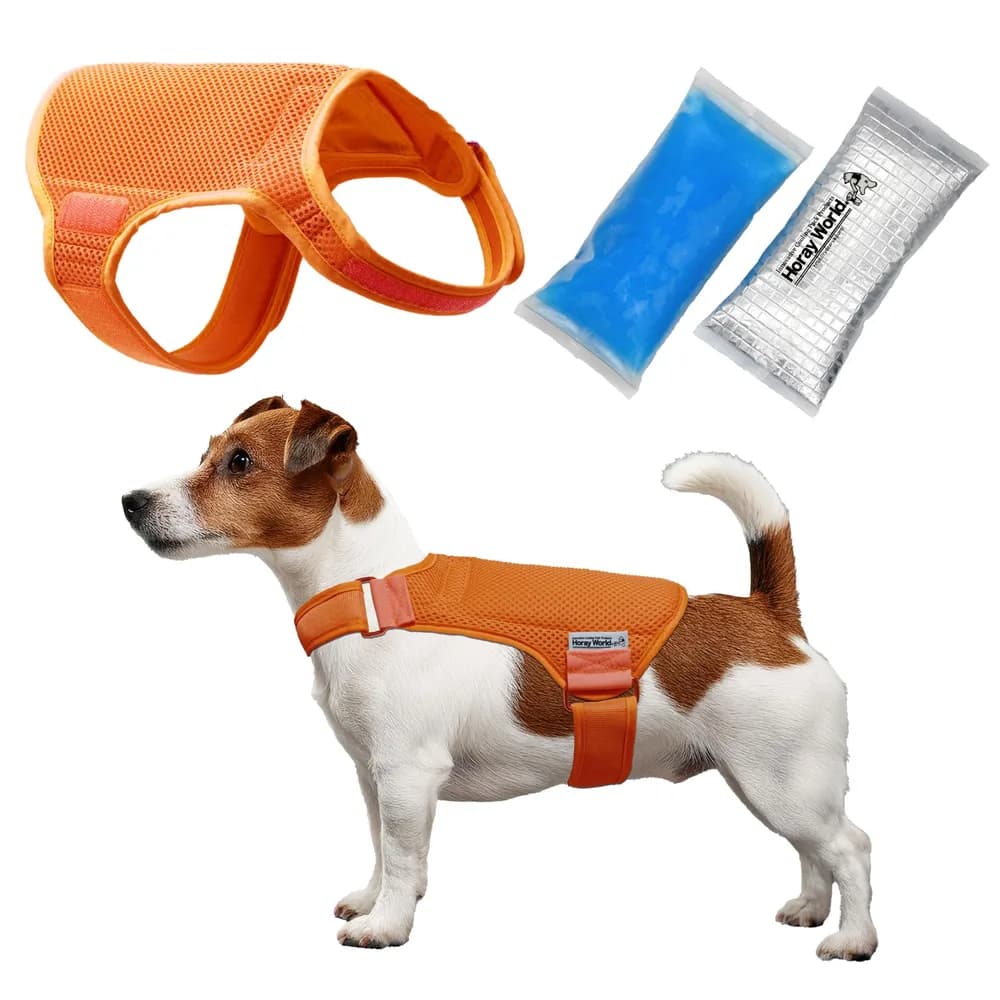 HORAY WORLD Cooling Vest for Dogs - Dog Cooling Vest with Innovative Cooling Packs (S, Orange)