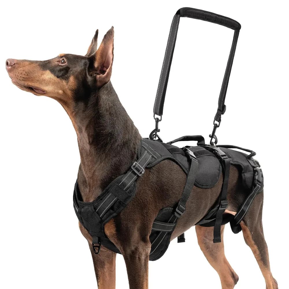BINGPET BINGPET Dog Lift Harness,Full Body Dog Sling for Large Medium Dogs Hind Leg Support,Adjustable Reflective Vest Dog Harness with Handle,Multifunctional Rescover Dog Carrier Sling