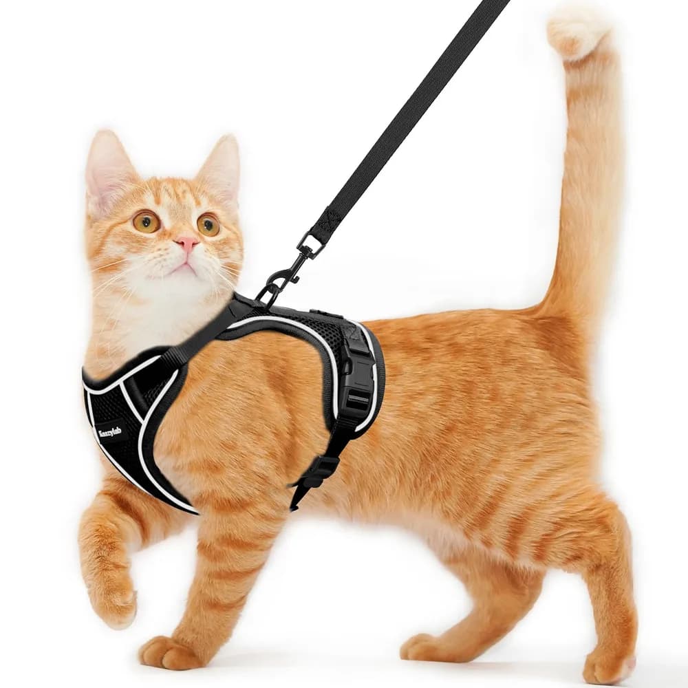Kaazylab Cat Harness and Leash for Walking Escape Proof Soft Adjustable Cat Leash Breathable Comfortable Vest Easy to Wear Kitten Harness for Outdoor Travel (Black, S (7-12lb))