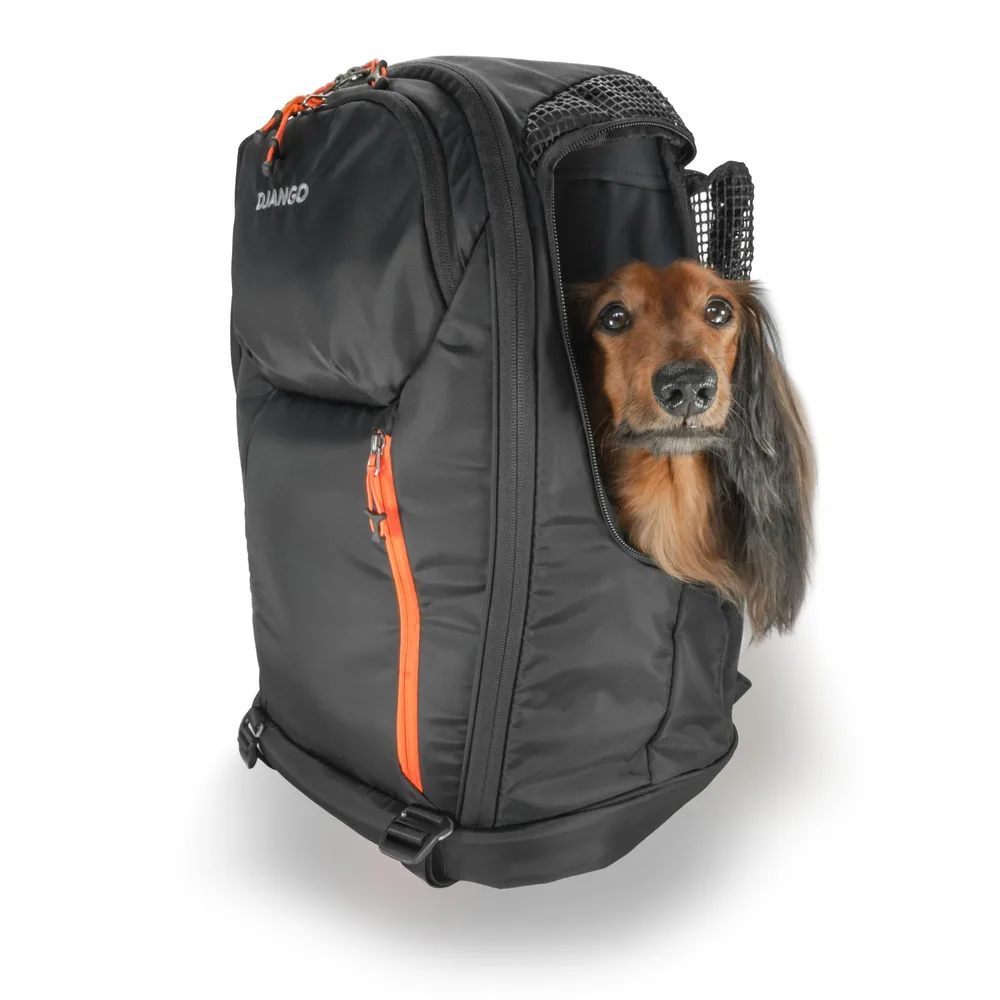 DJANGO DJANGO Dog Carrier Backpack – Pet Backpack for Small Dogs & Cats with Hip Belt, Laptop Pocket & Water Bottle Sleeve – Travel Dog & Cat Carrier for Hiking, Camping & Commuting (Midnight Black)