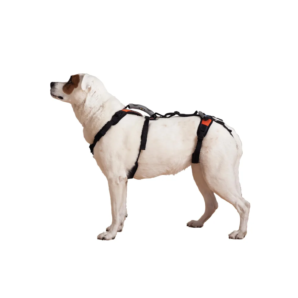 Help 'Em Up Help 'Em Up® - Dog Lift Harness│ Adjustable Lifting Harness for Dogs │ Full Body Support, Rear Leg Support (Conventional, Medium, 45-80 lbs)