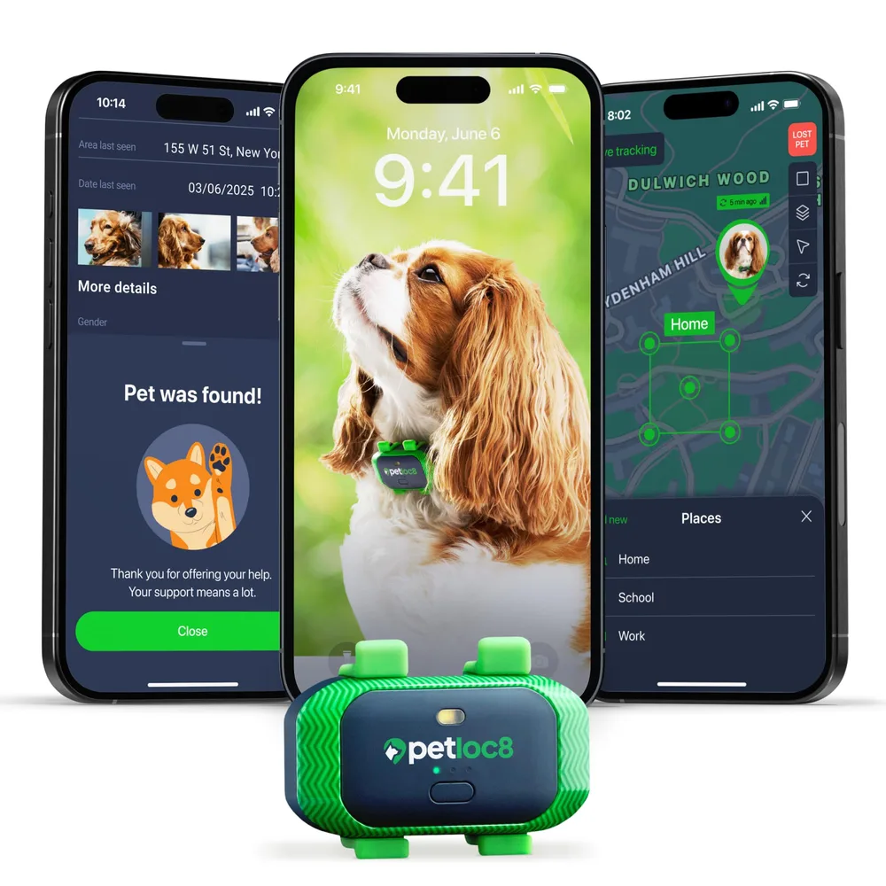 PETLOC8 Petloc8 Dog GPS Tracker for Dogs, 4G LTE Real Time Tracking & Geo-Fence Alert, Waterproof-Long-Life Battery Pet Tracking Device for Small Medium Large Dogs, Collar-Compatible(Subscription Required)