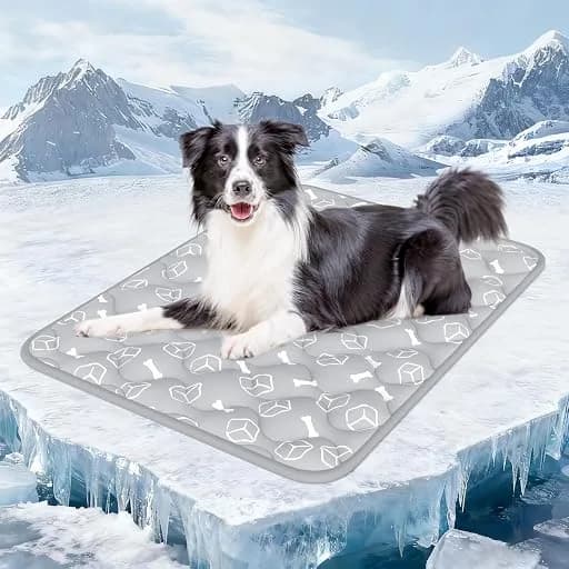 Rywell Rywell Dog Cooling Mat 2.0, Waterproof Color-Changing Cooling Pad, 44 by 32 Inches