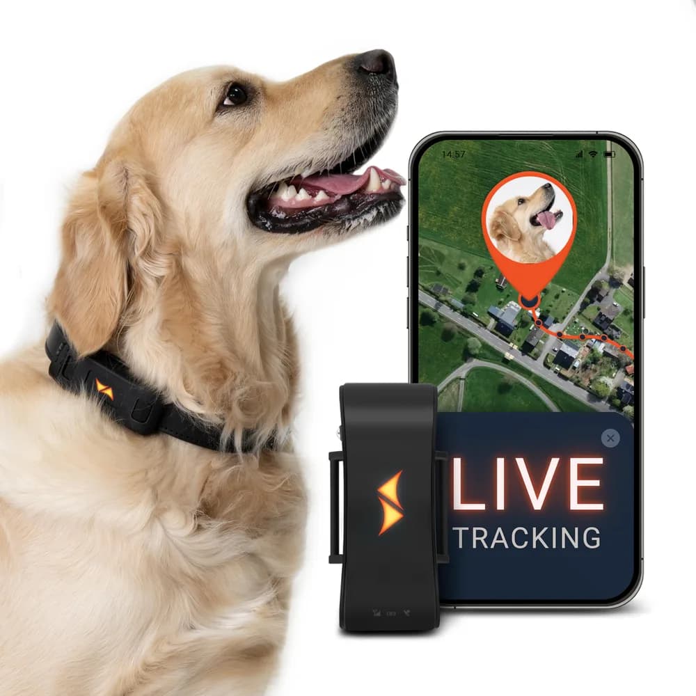 PAJ GPS PAJ GPS Tracker for Dogs with 3 Month Subscription Included, 4G Real-Time Dog GPS Tracker with Virtual Fence, Activity & Health Monitor, Up to 10 Days Battery, Fits Any Pet Collar