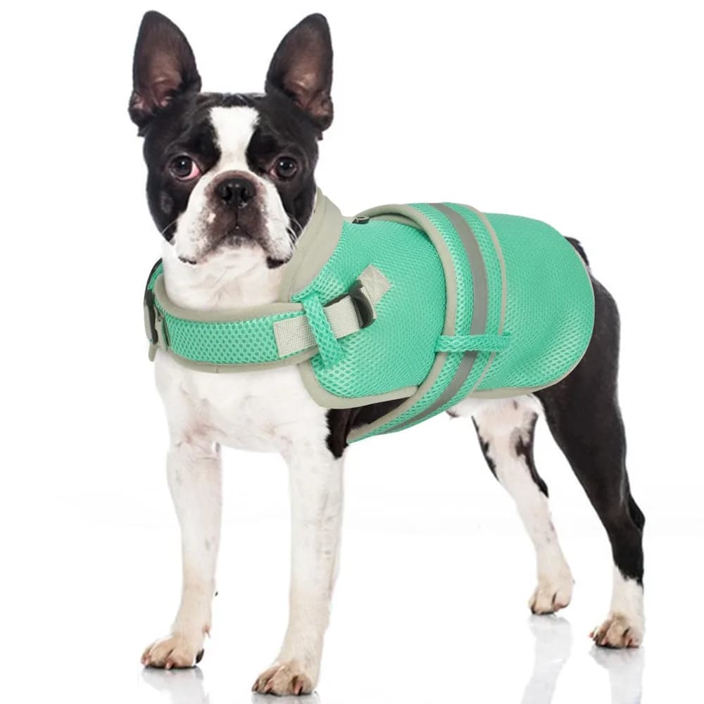 OUOBOB Dog Cooling Vest for Small Dogs, Evaporative Cooling, Green M | Lasts Up to 60 Mins Per Soak, Sun Protection, Anxiety Relief in Hot Days, Lightweight Breathable Mesh with D-Ring, Reflective