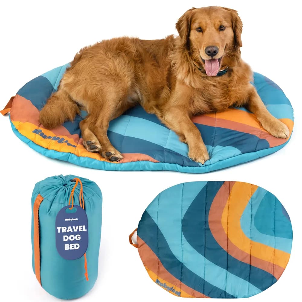 rubyloo Travel Dog Bed (42" x 30") – Foldable & Packable for Travel, Road Trip, Camping – Lightweight, Water Resistant & Cozy Soft Padding – Compact, Portable & Machine Washable – Medium & Large Breeds: Teal