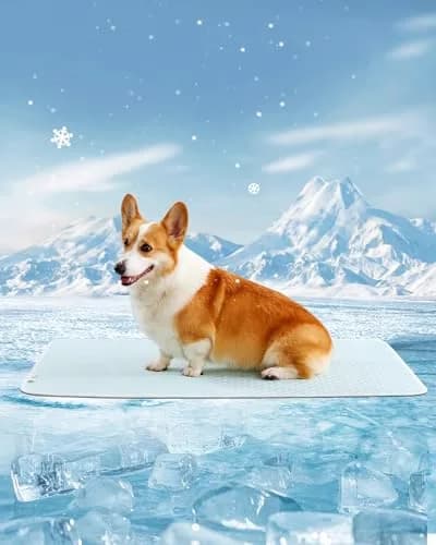 TIMSUNBER TIMSUNBER Dog Cooling Mat, Washable Pet Cooling Pad for Summer