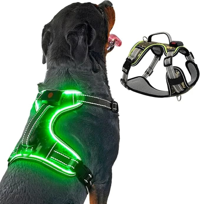 BiPawTi BiPawTi Light Up Dog Harness Medium Size Dog for Night Walking (Green, M) | Lighted Dog Walking Harness Safety Illuminated Reflective Harness Glow in The Dark, USB-C Rechargeable with Battery Indicator