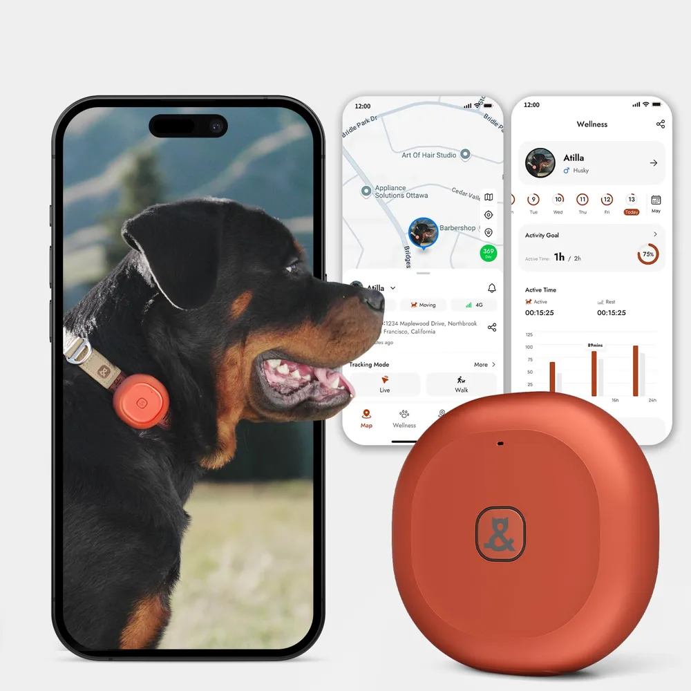 MOLLY&CODY Molly&Cody GPS + Bluetooth Pet Tracker for Cats & Dogs – Real‑Time Tracking, Virtual Fence, IP67 Waterproof, Up to 60‑Day Battery, Health Monitoring, iOS/Android – Subscription Required (Red)
