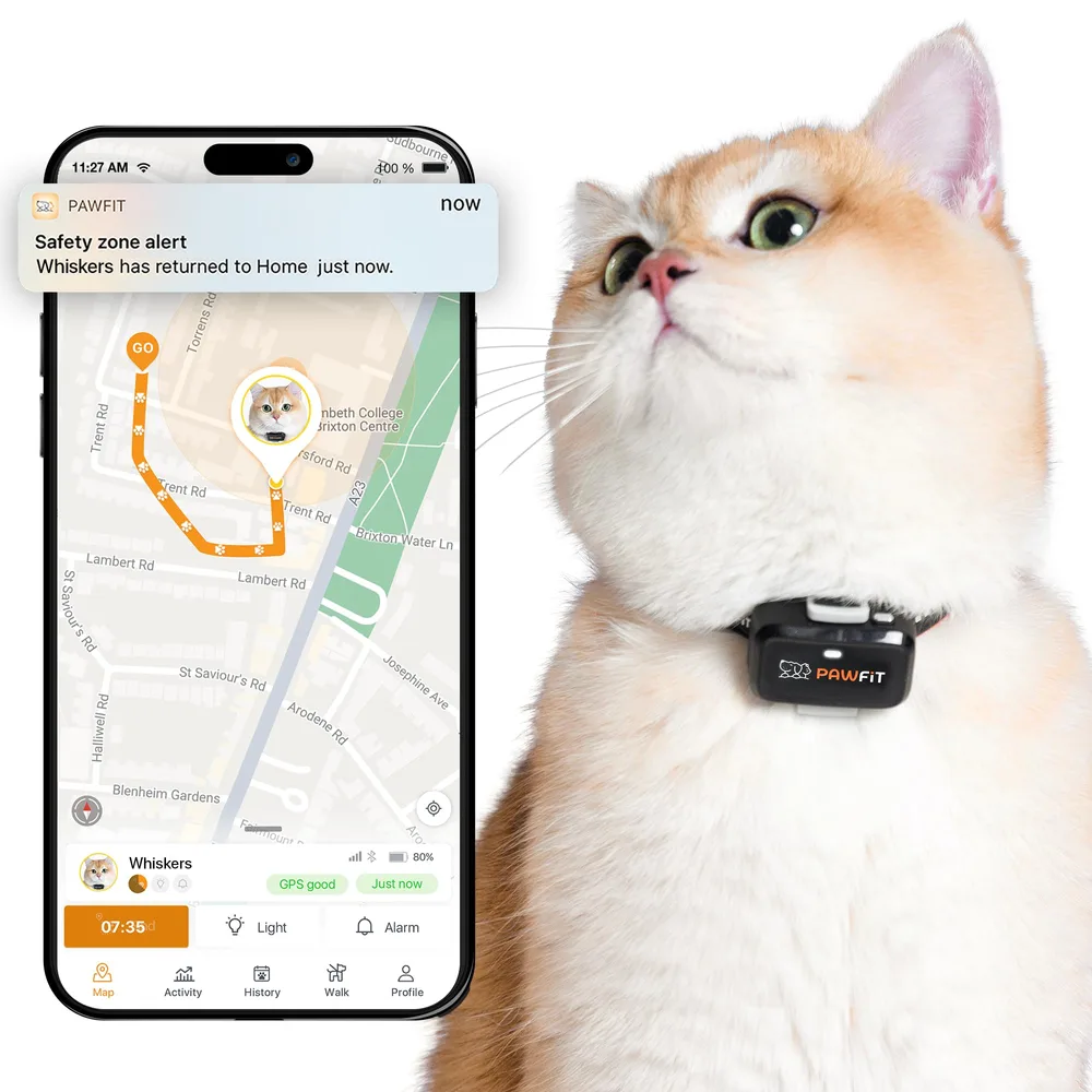 Pawfit Pawfit Lite for Cats 4g GPS Tracker | Ultra-Small (<18g) Design | Real-Time Tracking | Activity Monitoring | Location History | Unlimited Range | Safety Collar Included | Onyx Black