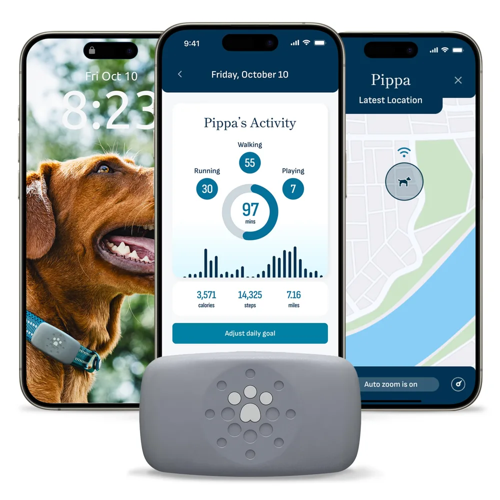 petivity petivity Dog GPS Tracker Powered by Purina, Waterproof Real Time Tracking GPS Dog Collar, Downloadable App, Subscription Required