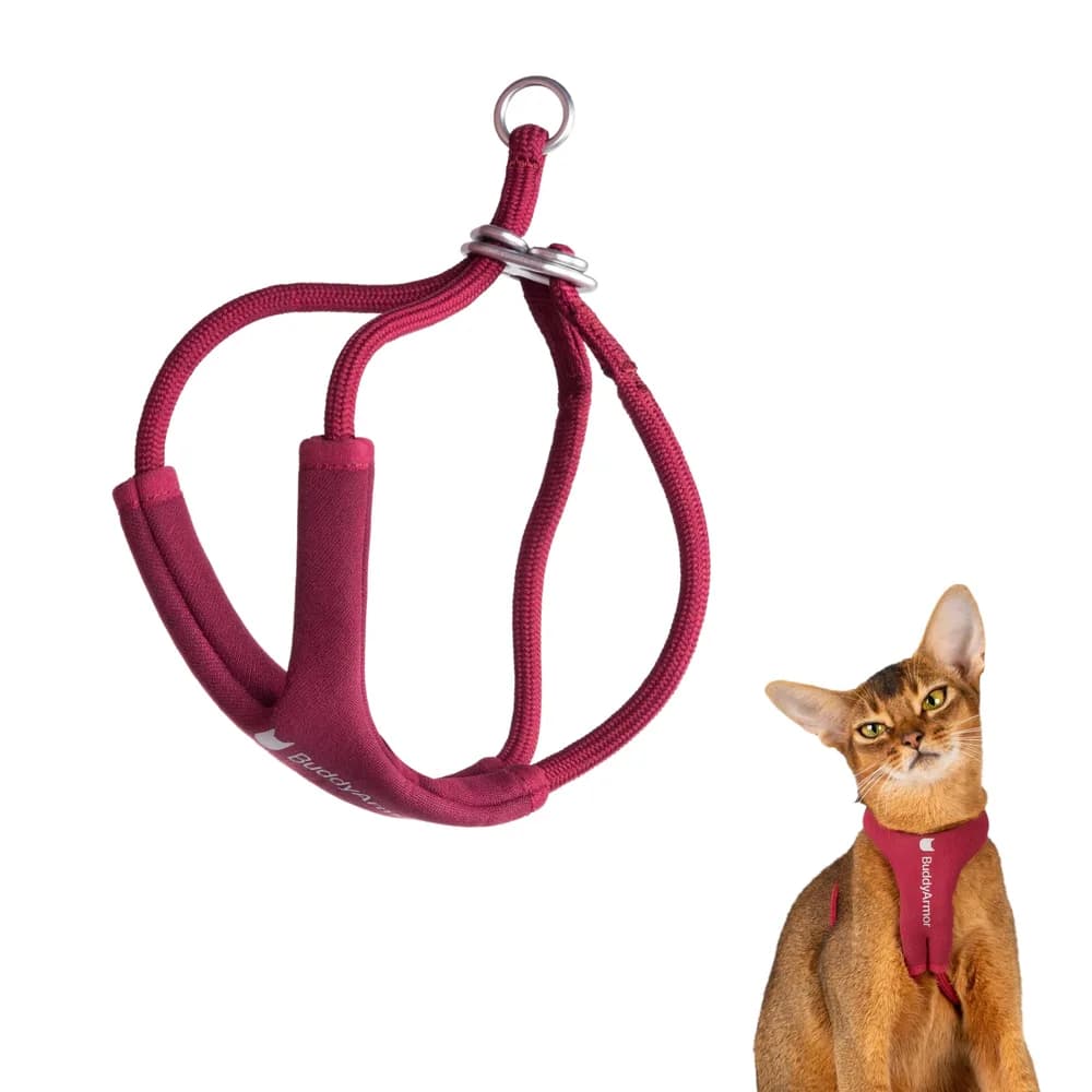 BuddyArmor Escape Proof Y Shape Cat Harness Anti-Choke Adjustable Soft Comfortable Padded Cat Vest Harness Anti Escape Cat Rope Harness for Kitten Small Medium Large Cats (Burgundy, S)