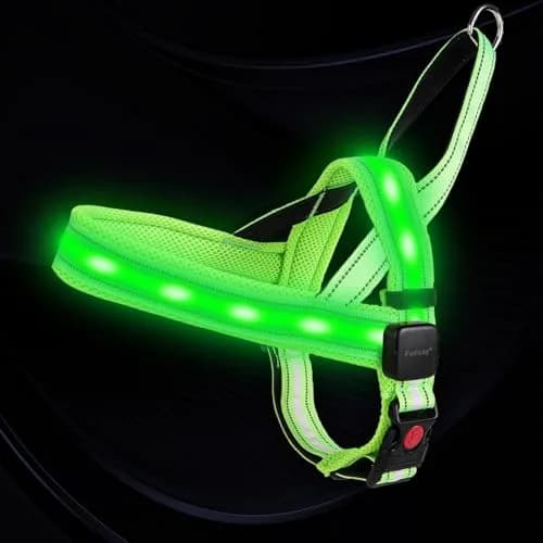 PetIsay PetIsay LED Light Up Dog Harness - USB-C Rechargeable, IPX7 Waterproof, Reflective, No Pull Dog Vest with Soft Padded Handle for Night Walking (Green, Medium)
