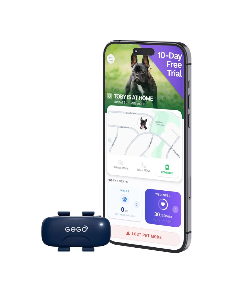 GEGO GEGO PET – Real-Time GPS Pet Tracker for Dogs & Cats, Unlimited Range, Safe Zones, Escape Alerts, Location History, Activity & Wellness Insights. Active Subscription Required