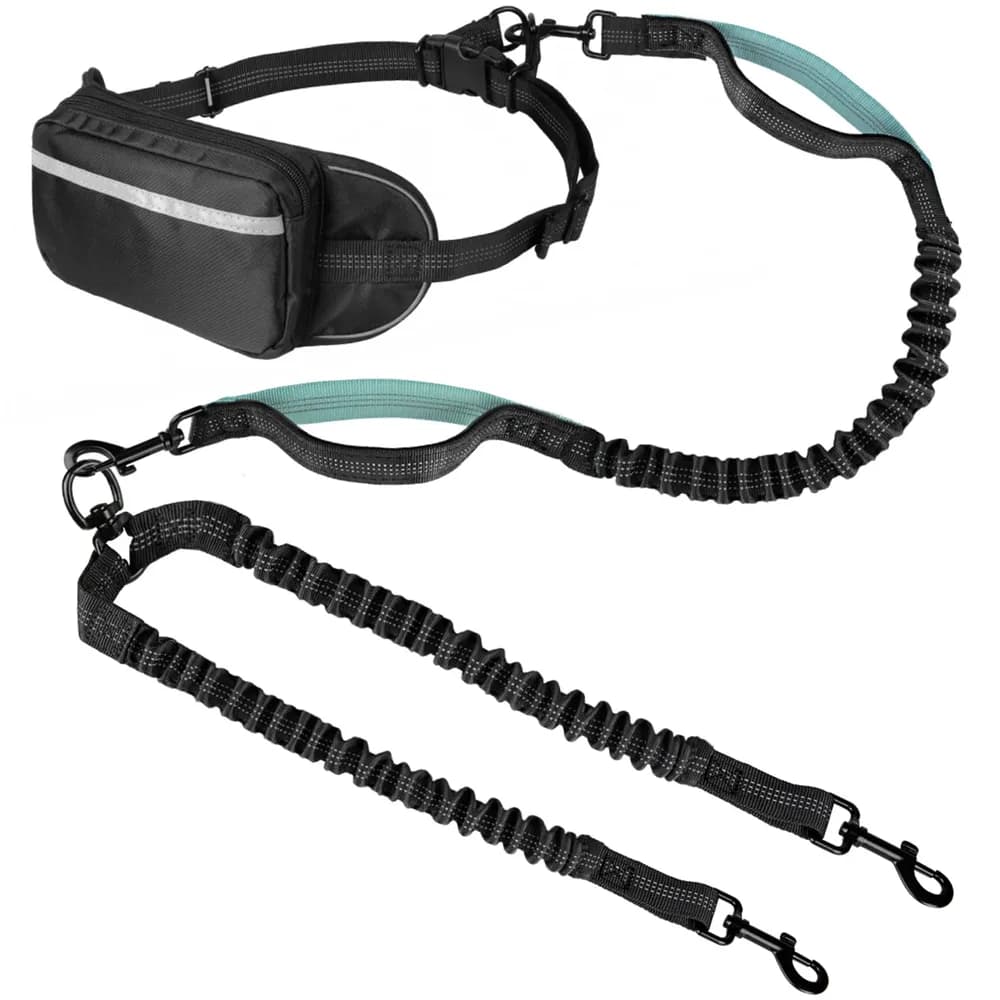 Yicostar Hands Free Dog Leash 2 Dogs, Multifunctional Dog Leashes with Waist Belt, Zipper Pouch and Shock Absoring Bungee for Small and Medium Doggie Walking(Medium)