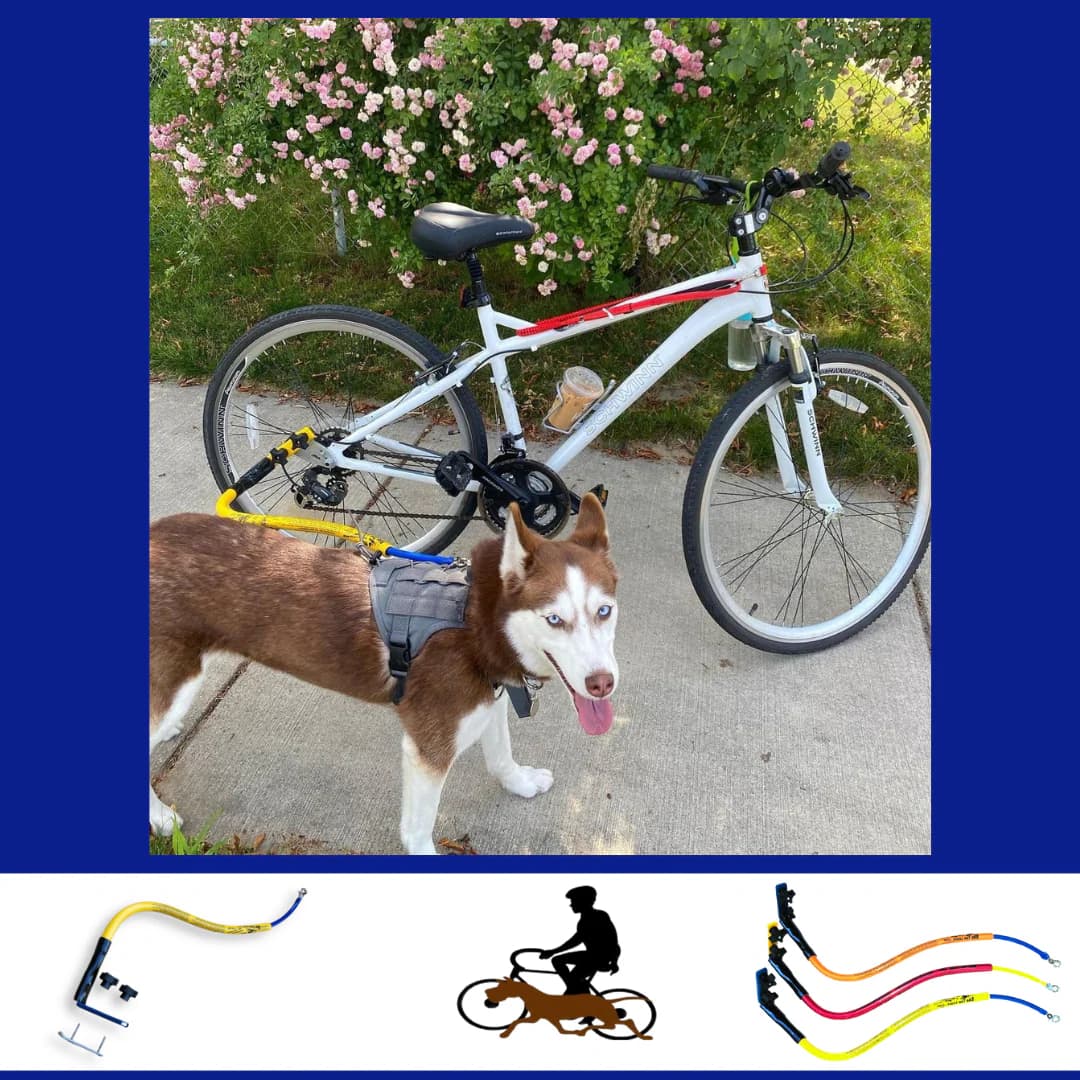 8 Best Dog Leash Bike Attachments for Safer Rides