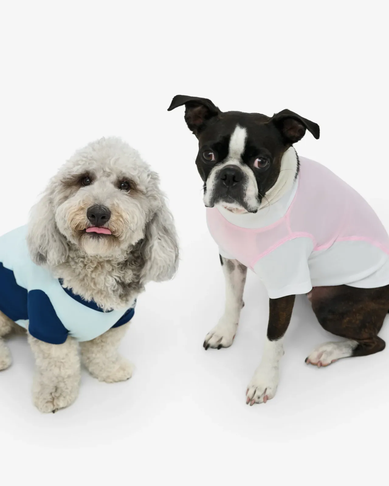 BloqUV BarkUV 7000 Dog Sun Shirt