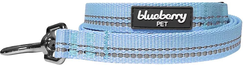Blueberry Pet 3M Pastel Polyester Reflective Dog Leash