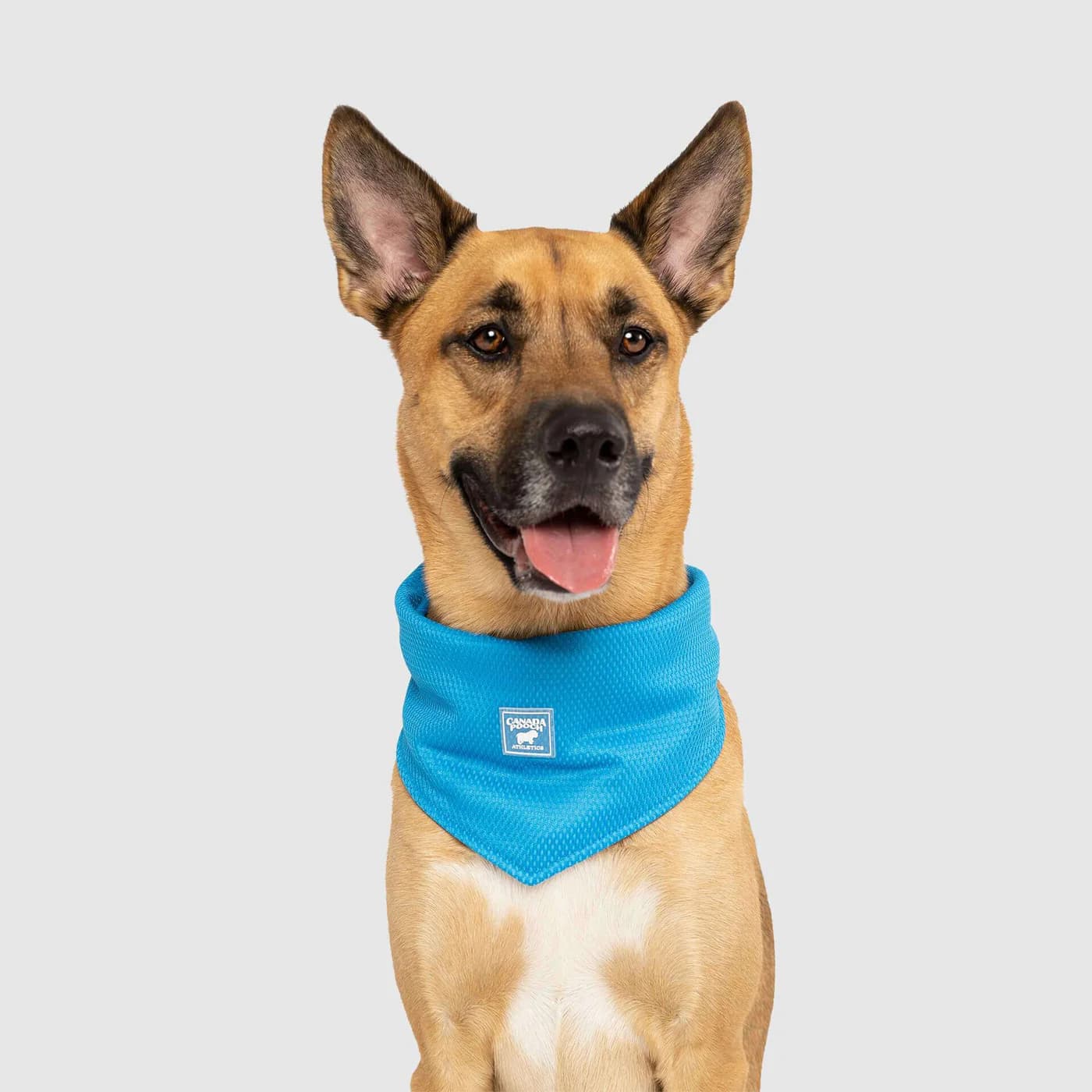 Canada Pooch Cooling Bandana