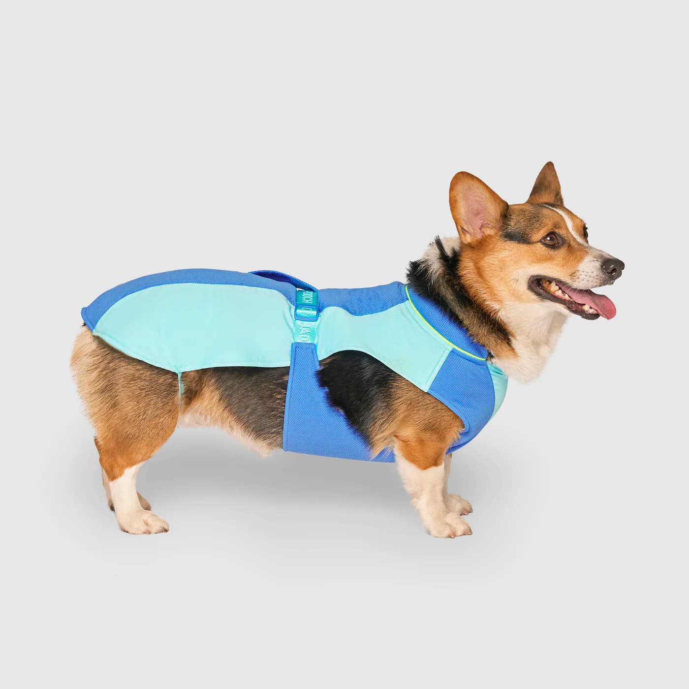 Canada Pooch Max Chill Cooling Vest