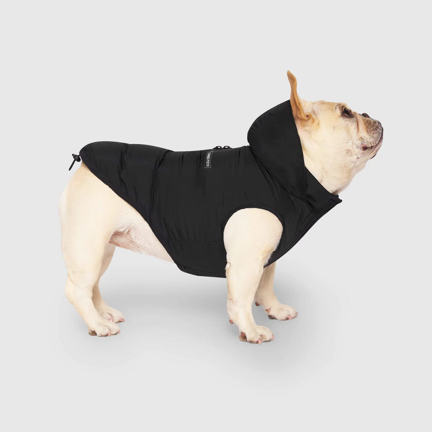 Canada Pooch Waterproof Puffer