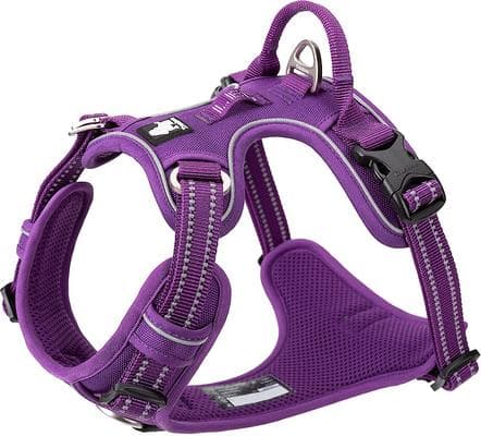 Chai's Choice Outdoor Adventure Dog Harness