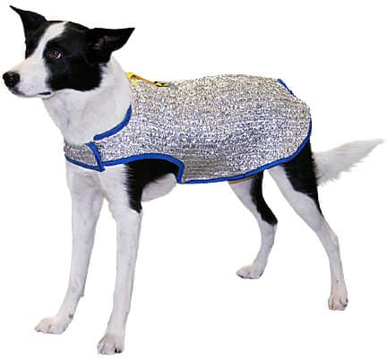 Chillybuddy Cooling Jacket