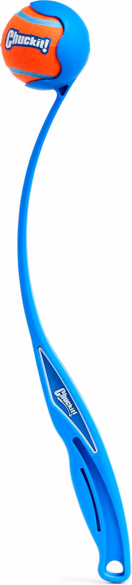 Chuckit! featured product