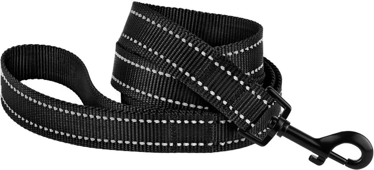 CollarDirect Reflective Nylon Dog Leash