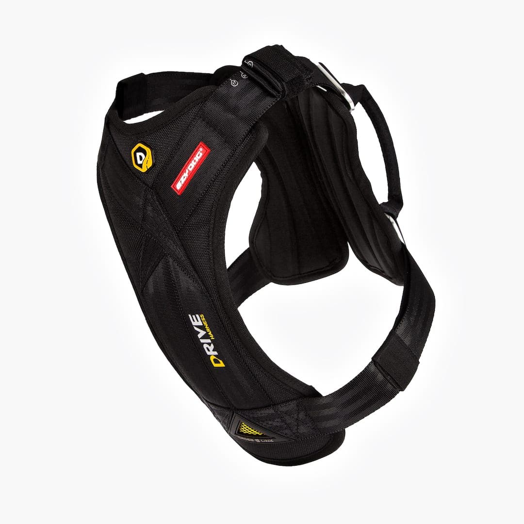 EzyDog Drive Dog Car Harness